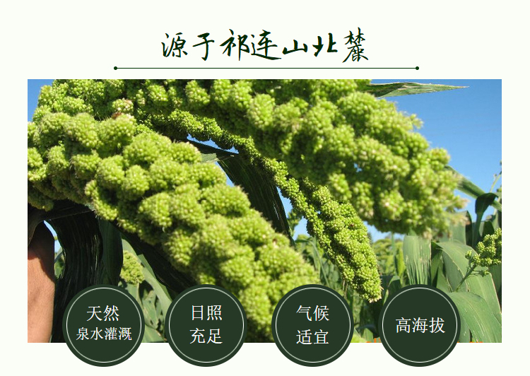 金花寨黑小米-详情1